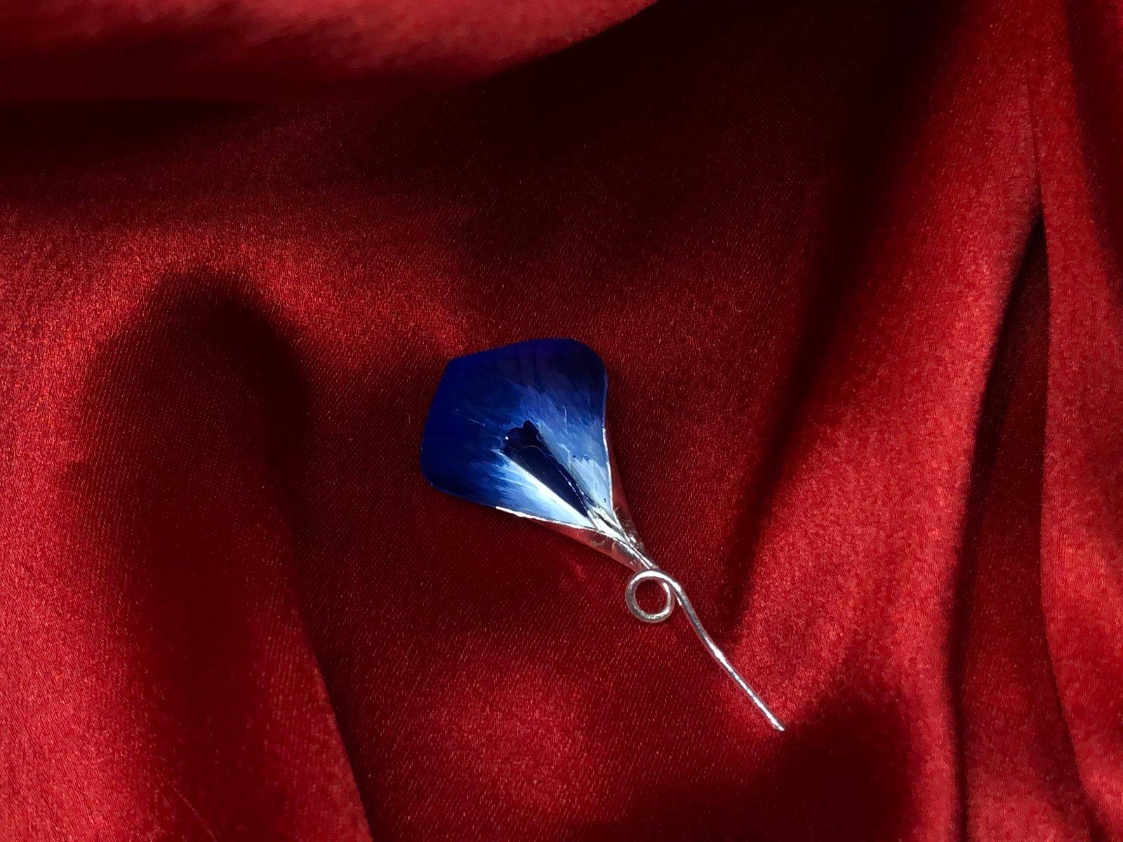 Aparajita / Neelkanth / Gokarna Flower Meena view 2