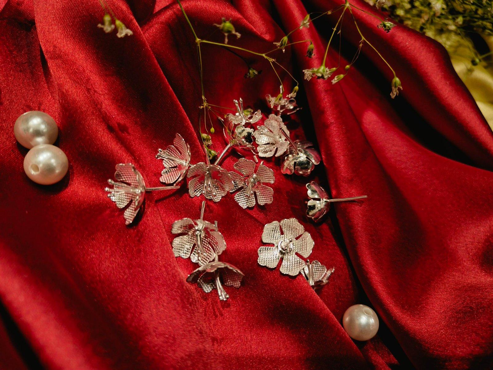 Hibiscus / Joba Flower / Jaswandi view 2