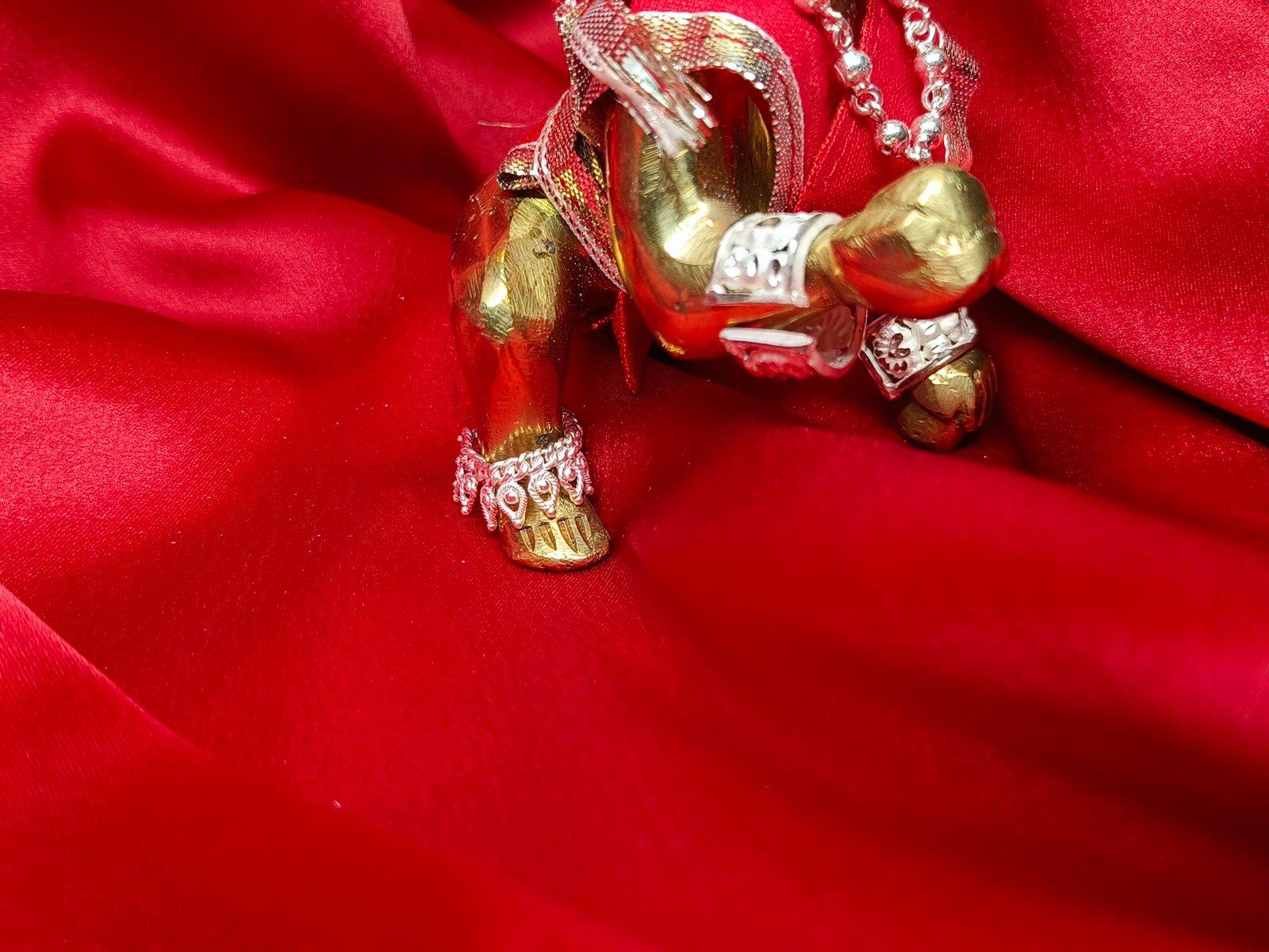 Priyadarshini Payel/ Anklet for Idol view 4