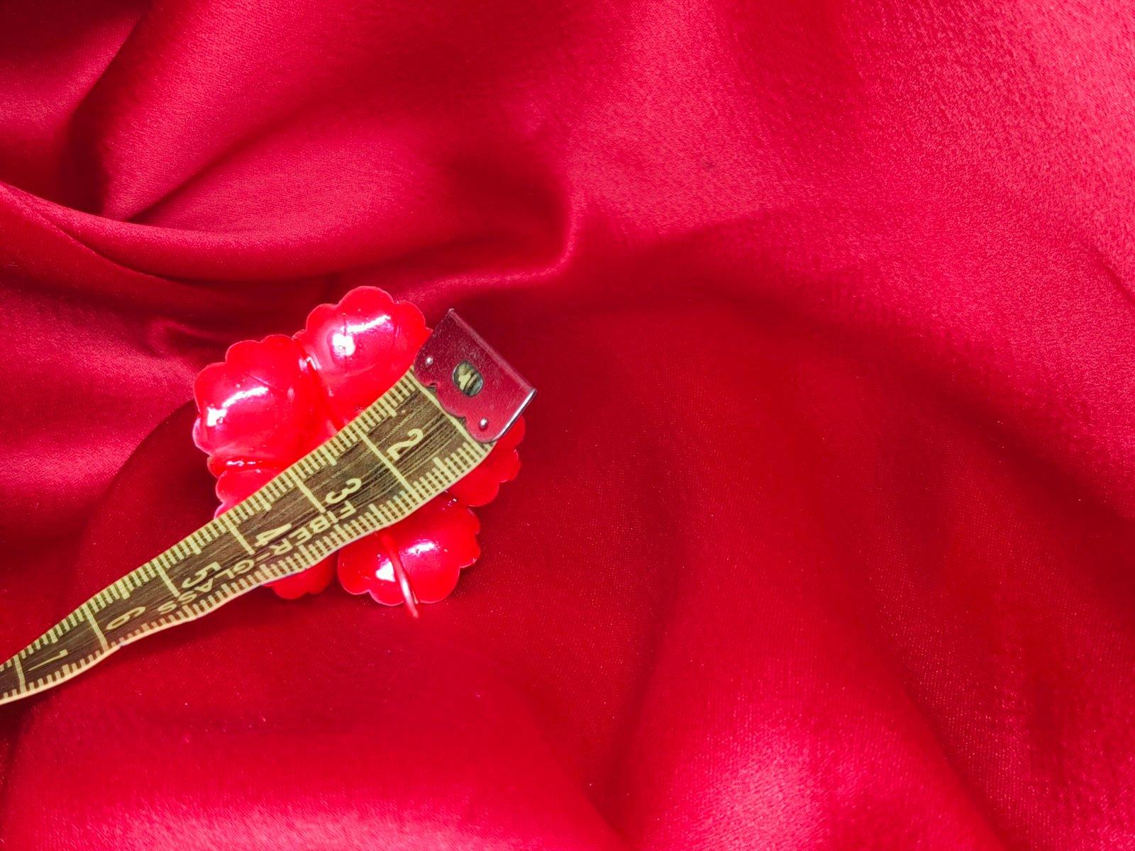 Red Hibiscus/Jaswandi/Meena Joba/ Joba/ Lal Joba view 3