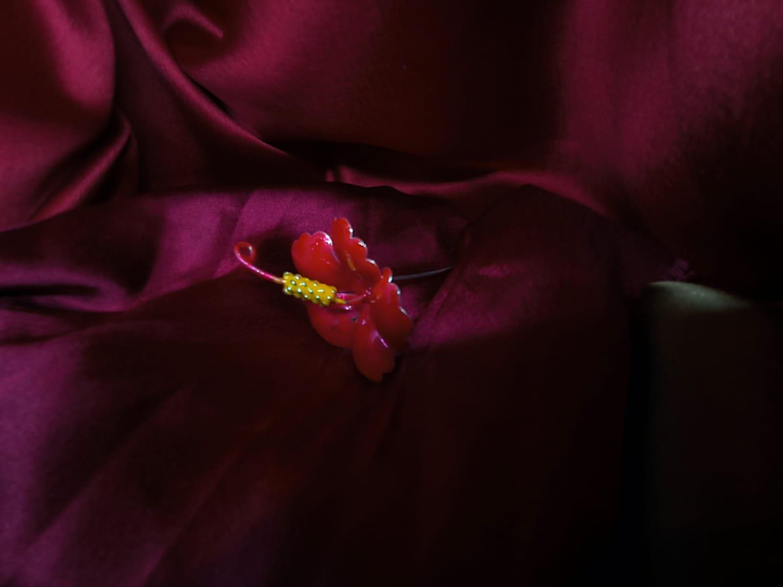 Red Hibiscus/Jaswandi/Meena Joba/ Joba/ Lal Joba view 4