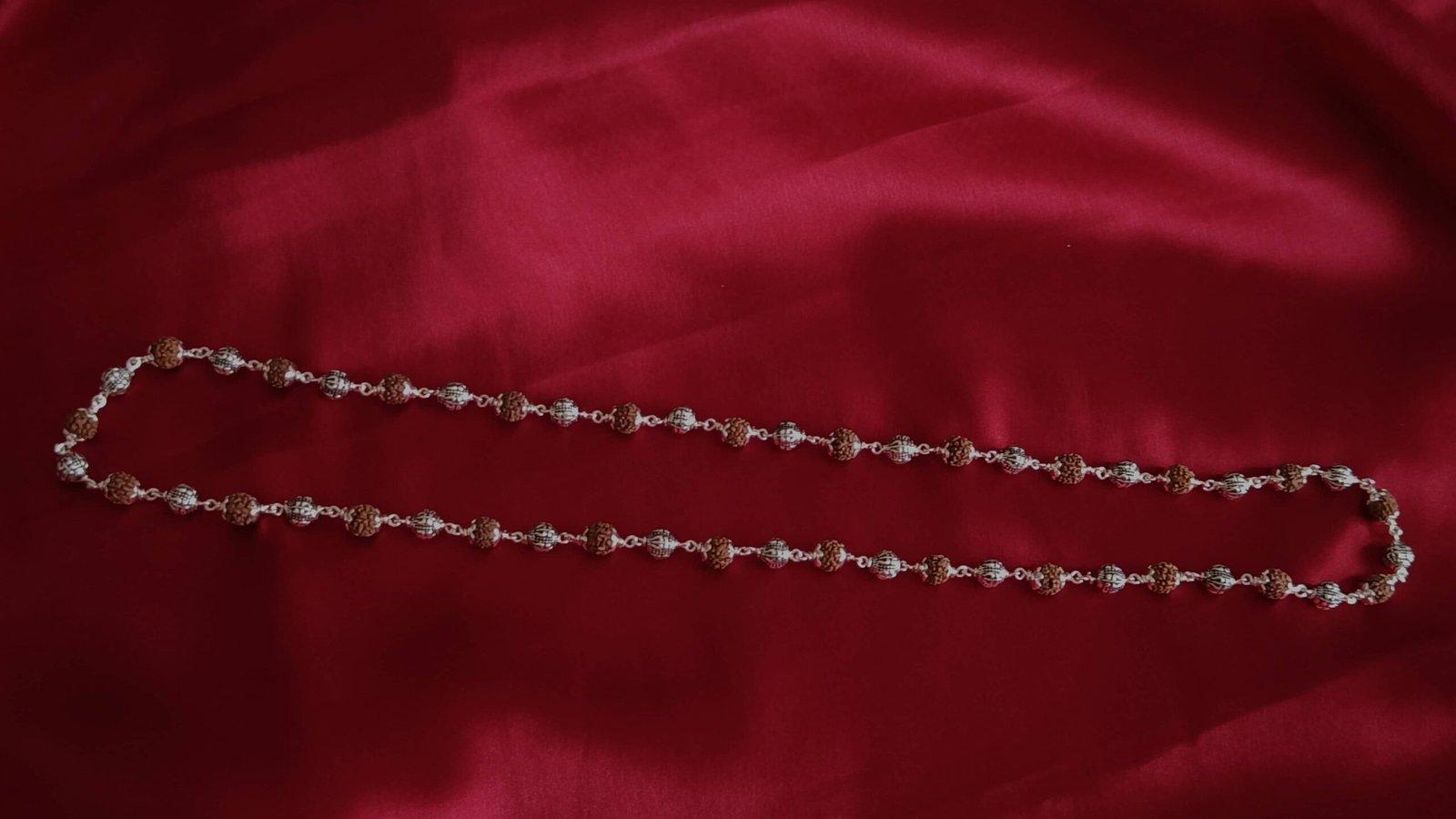 Rudraksha Mala / Har view 2