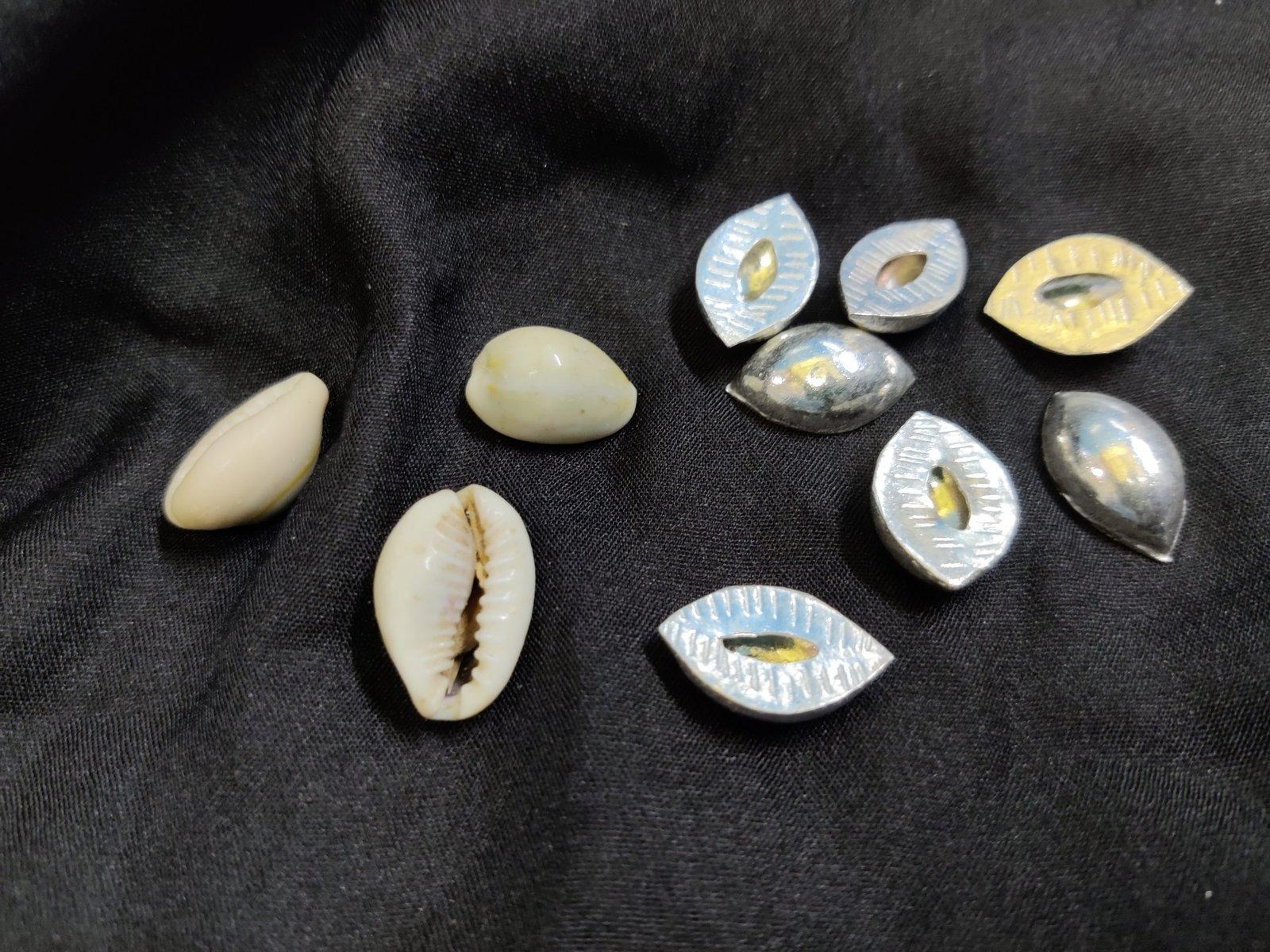 Cowrie Shells/ কড়ি/Kodi/Kori view 3