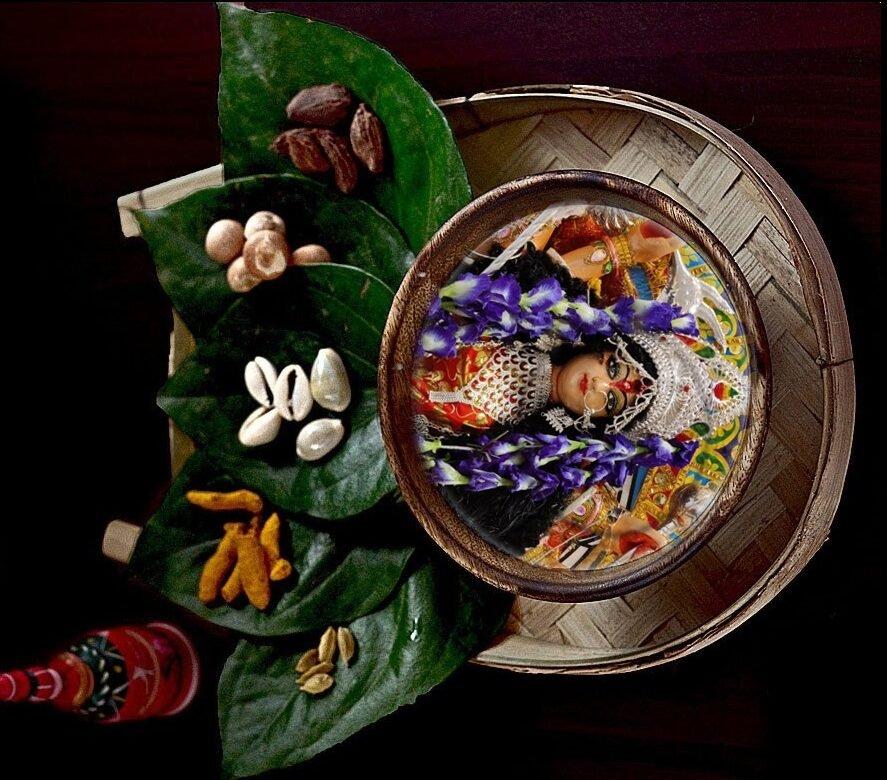 Cowrie Shells/ কড়ি/Kodi/Kori view 4