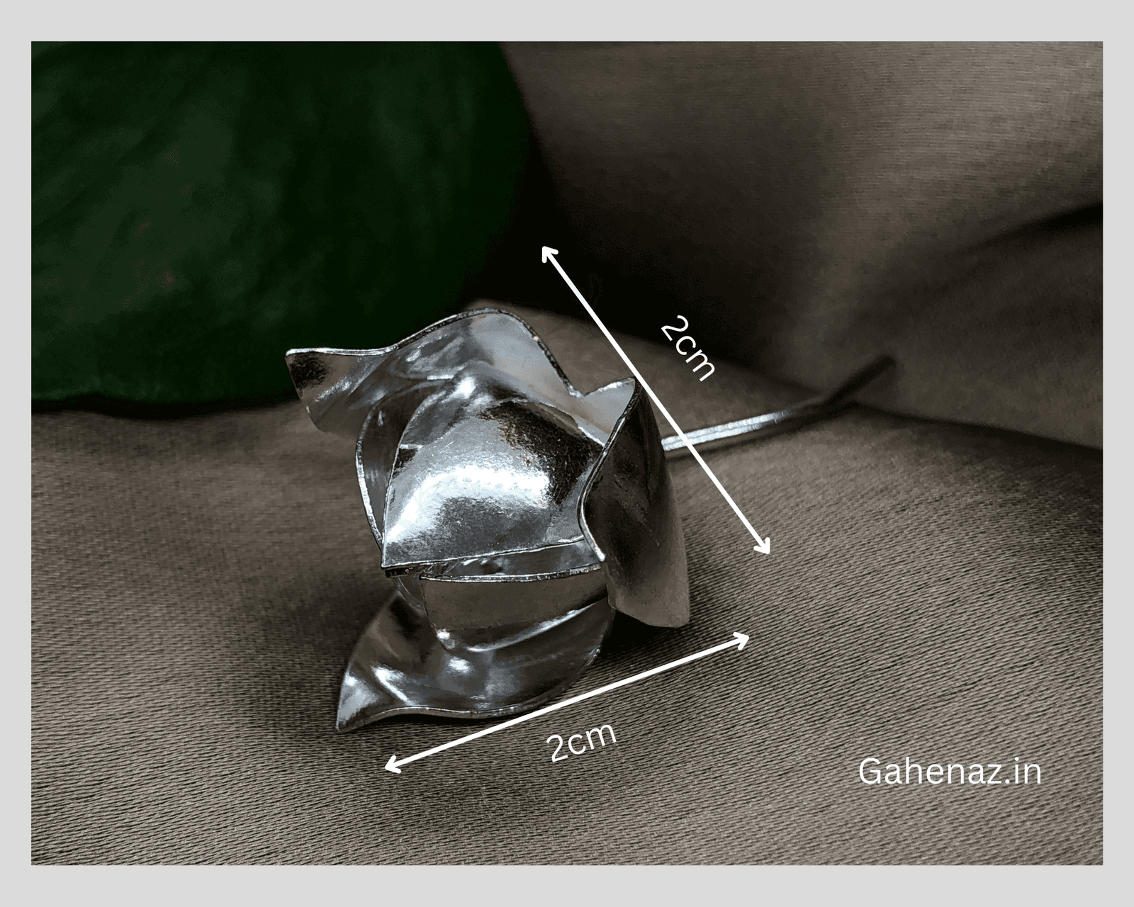 Lotus Bud Flower view 2