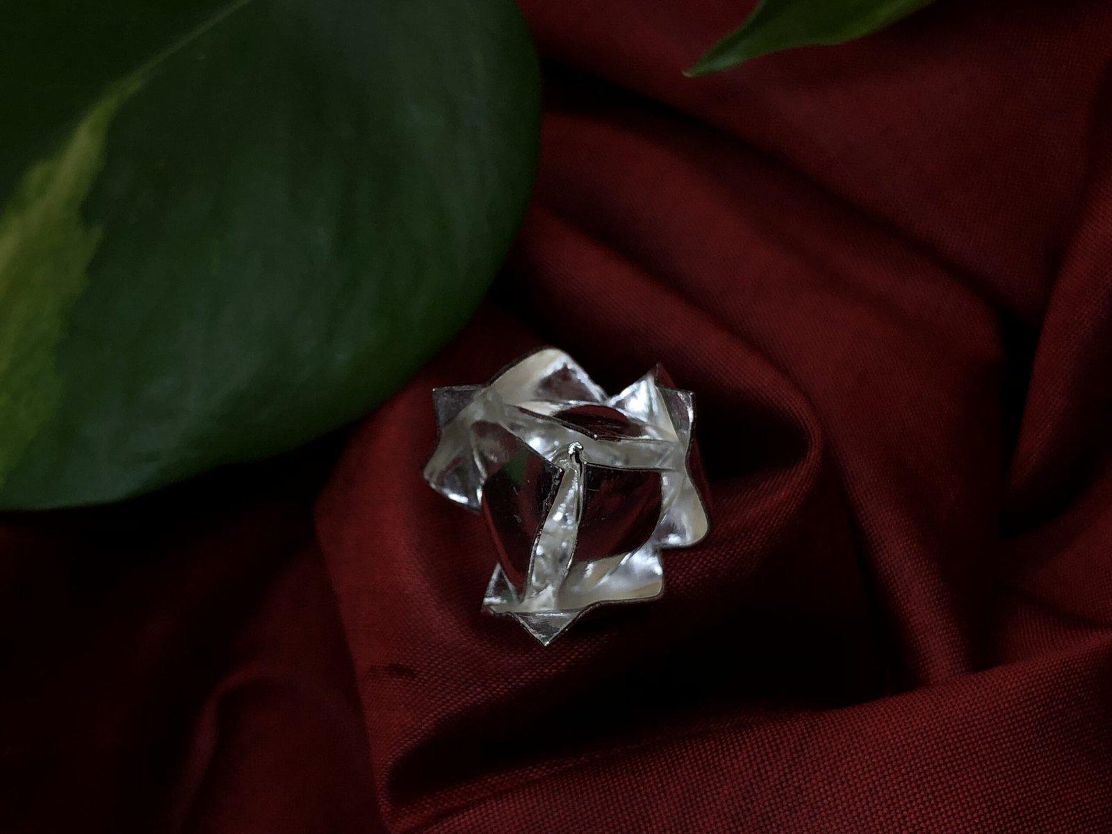 Lotus Bud Flower view 3