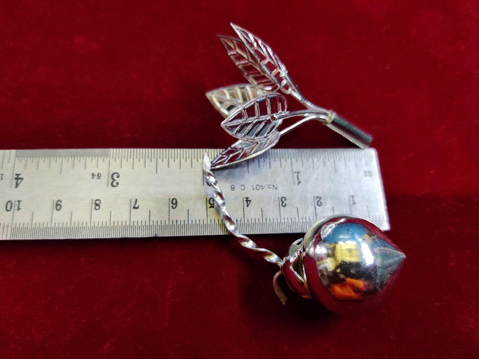 Mango Leaf + Greeen Coconut with Steam Combo Offer view 3