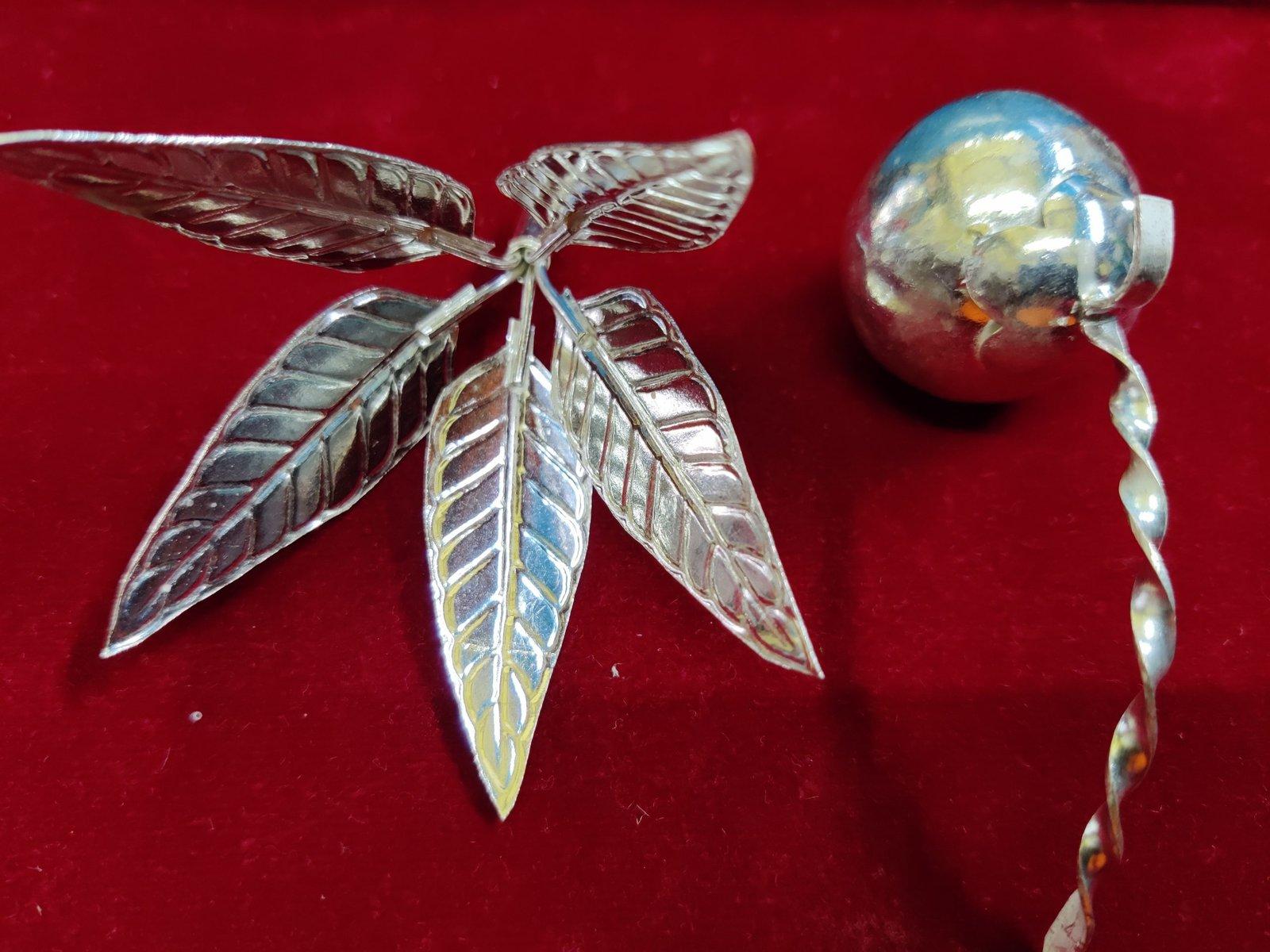 Mango Leaf + Greeen Coconut with Steam Combo Offer view 4