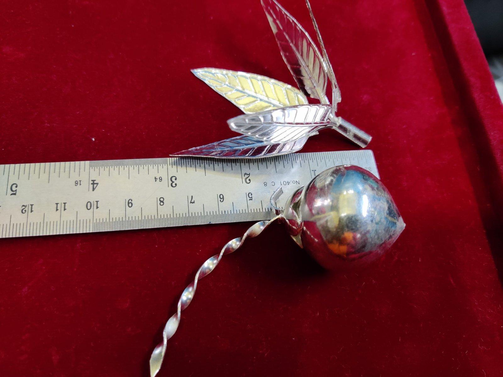 Mango Leaf + Greeen Coconut with Steam Combo Offer view 6